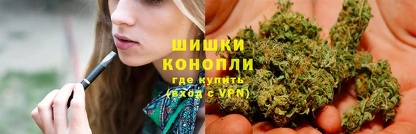 сатива Заволжье
