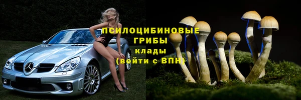 сатива Заволжье