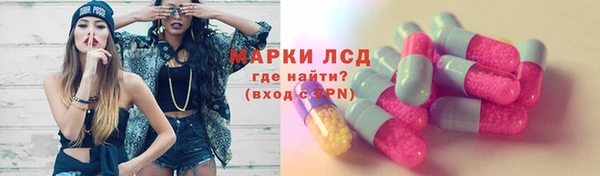 сатива Заволжье