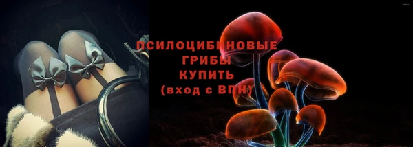 сатива Заволжье
