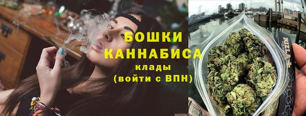 сатива Заволжье