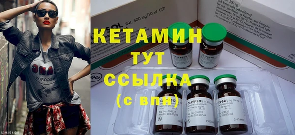 сатива Заволжье