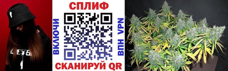 купить закладку  Среднеуральск  Канабис Amnesia 